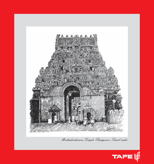 Brihadeeshwara temple picture framed