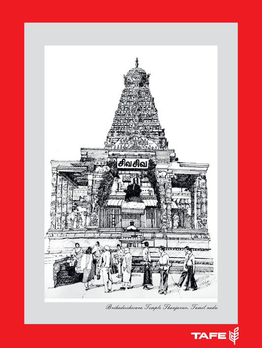Thanji periya kovil wall art frame